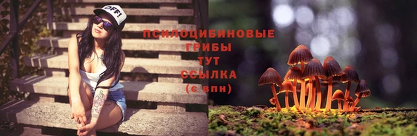 apvp Алзамай