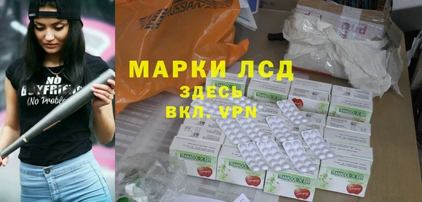 apvp Алзамай