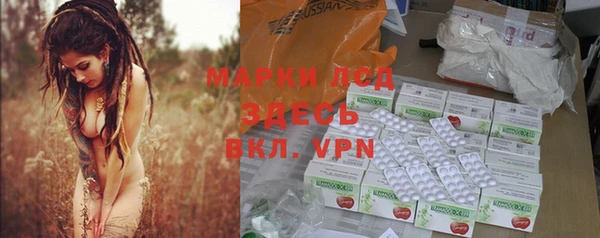 apvp Алзамай
