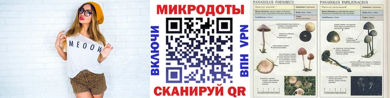 Псилоцибиновые грибы Cubensis  гидра зеркало  Елец 